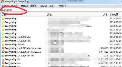 Everything中文版使用操作教程截图