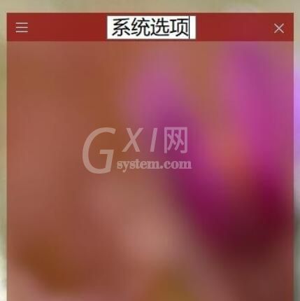 Fences将桌面分区整理方法截图