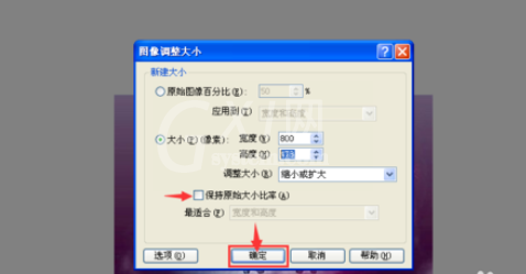 ACDSee更改图片尺寸的具体方法介绍截图