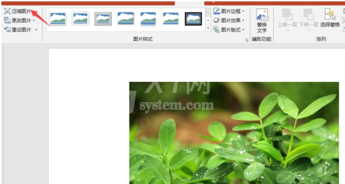 PPT2019压缩插入图片的操作教程截图