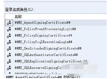 SQL Server 设置权限的具体操作教程截图