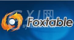 Foxtable锁定项目的方法介绍