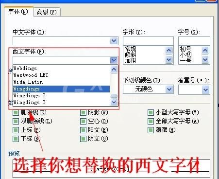 Word 2010更改所有字母和数字格式的操作教程截图