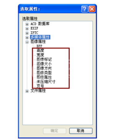 ACDSee添加更多排序选项的操作教程截图