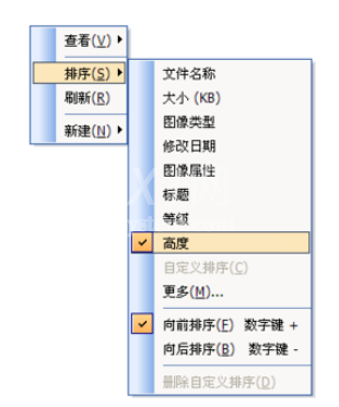 ACDSee添加更多排序选项的操作教程截图