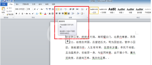 word2010项目符号的操作教程截图