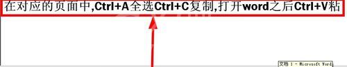 word文档快捷键的操作使用截图