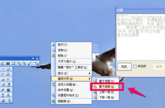 Power Point2003中调整图片层次的操作步骤截图