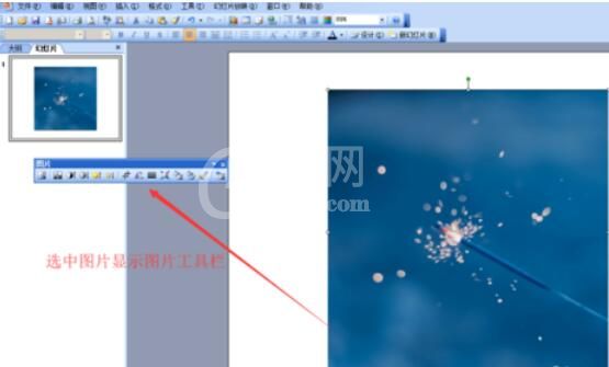 Power Point2003中裁剪图片并设置图片边框线条的具体操作步骤截图