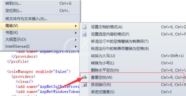 Visual Studio 2005(VS2005)查看空白的操作步骤截图