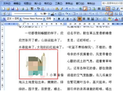 word2003中防止图片移动的设置方法截图