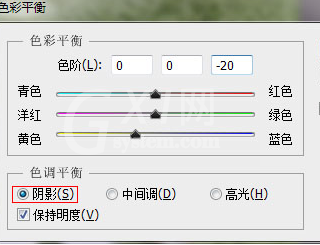 Photoshop CS6给草地调出亮丽颜色的操作教程截图