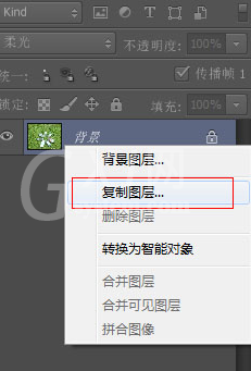 Photoshop CS6给草地调出亮丽颜色的操作教程截图