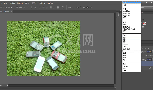 Photoshop CS6给草地调出亮丽颜色的操作教程截图