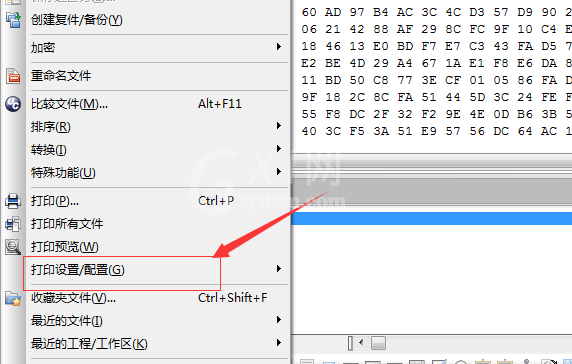 UltraEdit中页面添加页眉的详细操作步骤截图