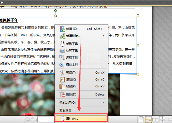 迅捷pdf编辑器给文字加粗的操作方法截图