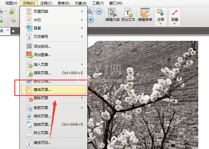 迅捷pdf编辑器删除与替换页面的具体步骤截图