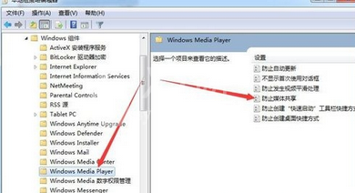 Windows Media Player无媒体流选项的解决办法截图