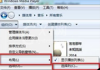 Windows Media Player中歌曲内容的了解方法步骤截图