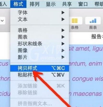 pages使用格式刷的详细操作步骤截图