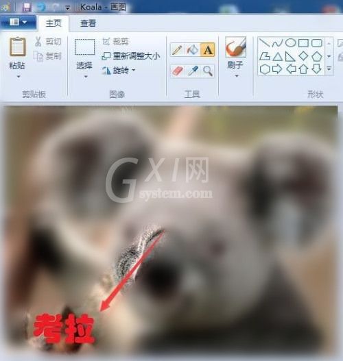 画图工具将图片添加文字的方法步骤截图