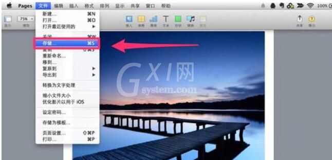 Pages保存文档的具体方法步骤截图