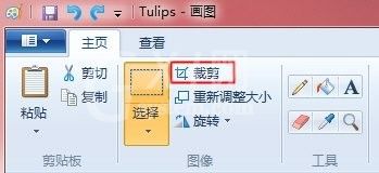 画图工具裁剪图片的方法步骤截图