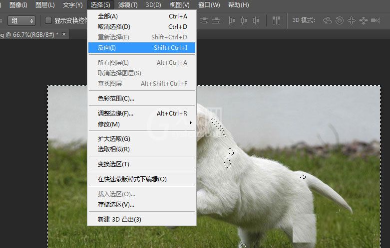 photoshop cs6将草地上狗狗抠出的具体操作步骤截图