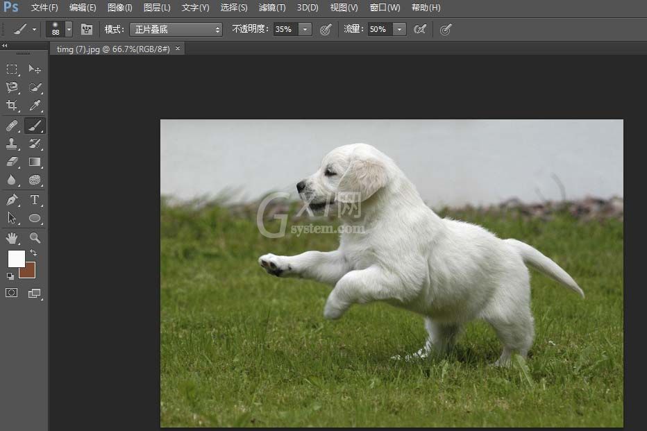 photoshop cs6给图片添加彩色渐变效果的操作方法截图