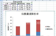 excel2007绘制分段条图的操作教程截图