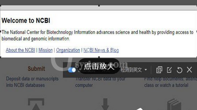 有道词典截图翻译的操作教程截图