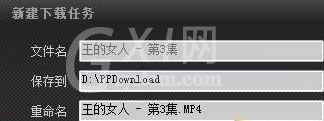 pptv网络电视下载电视剧的操作教程截图