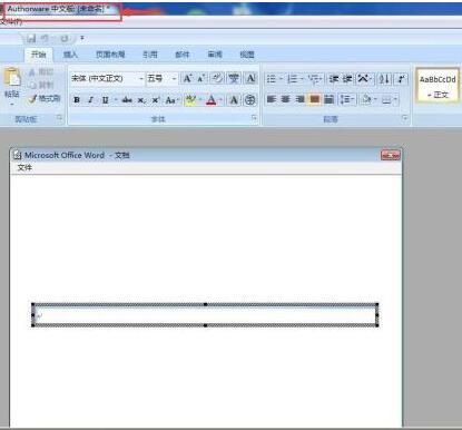 Authorware中文本框的插入方法步骤截图