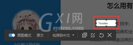 有道词典中使用截屏翻译的操作教程截图