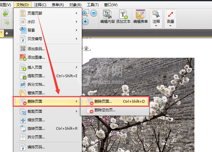 迅捷pdf编辑器打开删除或替换其中页面的操作教程截图