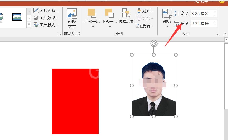 使用PPT制作个人证件照的操作教程截图