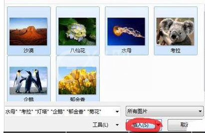 PowerPoint Viewer批量导入照片的详细操作步骤截图