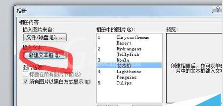 PowerPoint Viewer批量导入照片的详细操作步骤截图