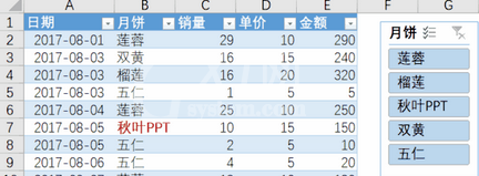 excel2007中使用切片器轻松完成统计任务的详细操作教程截图