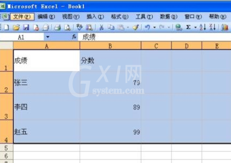 excel2007设置并打印网格线的相关操作步骤截图