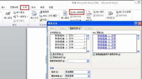 Word 2010自动生成图表目录的操作步骤截图