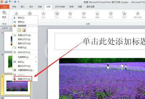 PowerPoint Viewer隐藏不想显示内容的操作教程截图