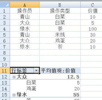 excel2007制作数据透视表的操作教程截图