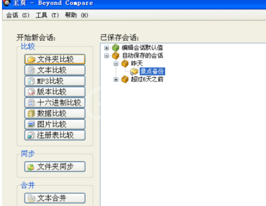 Beyond Compare设置对比属性的操作教程截图