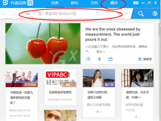 有道词典翻译单词或句子的相关操作方法截图