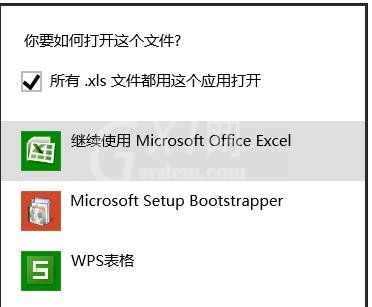 excel2007设置默认打开方式的操作方法截图