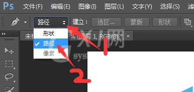 photoshop cs6中使用钢笔工具处理图片的操作方法截图