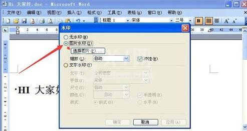 Microsoft Office 2003加背景图片的详细操作教程截图