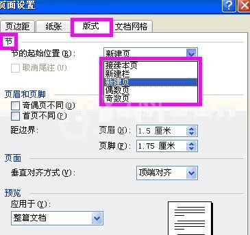 word2003进行页面设置的具体操作步骤截图