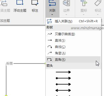 mindmanager中绘制流程图的详细操作方法截图